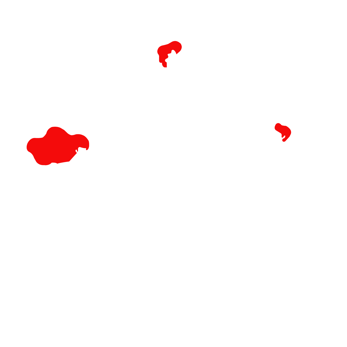 service-developpement-web