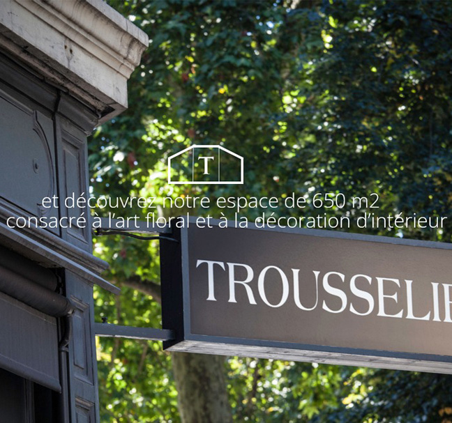 Trousselier référence iones