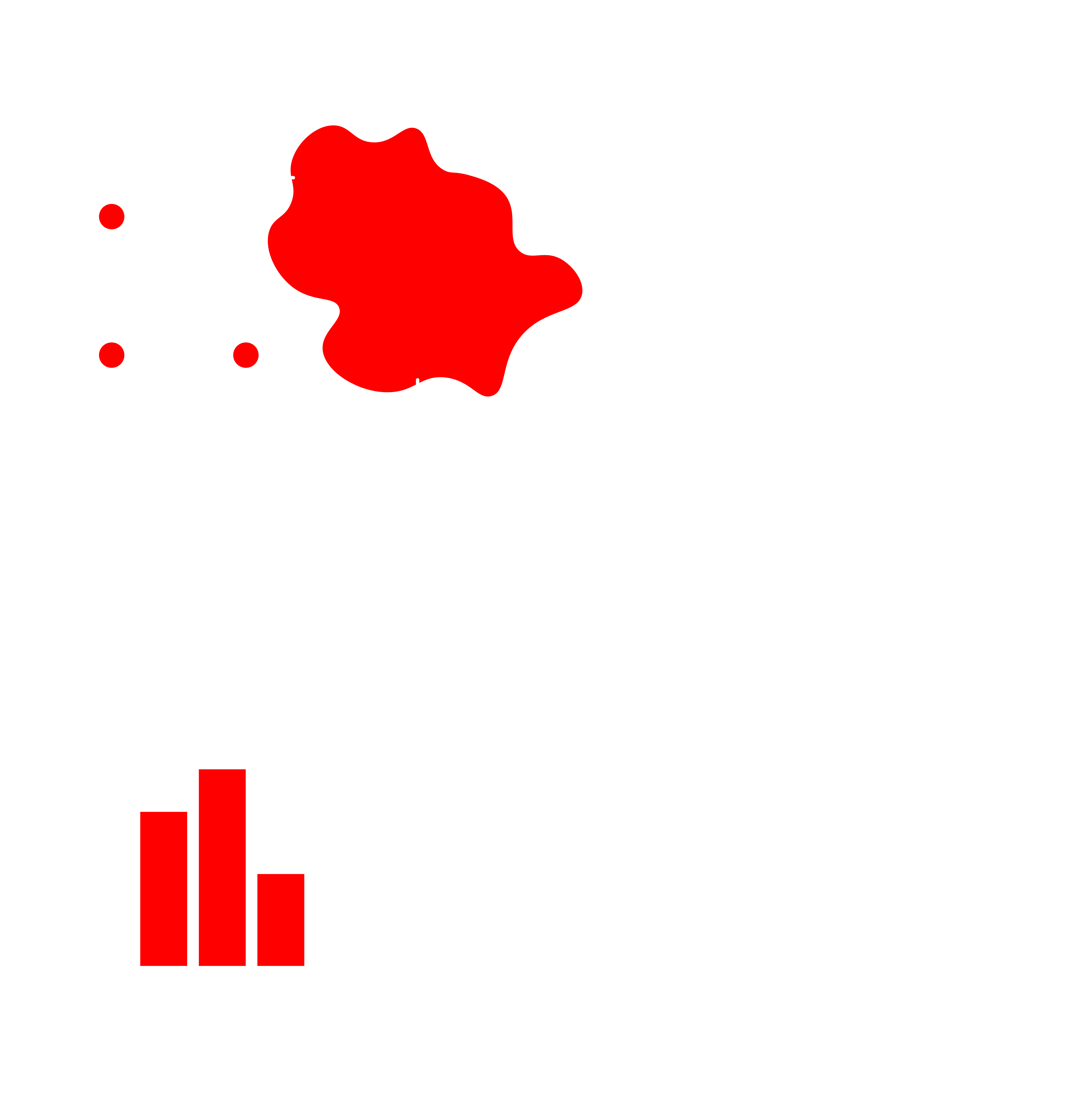 service-developpement-web