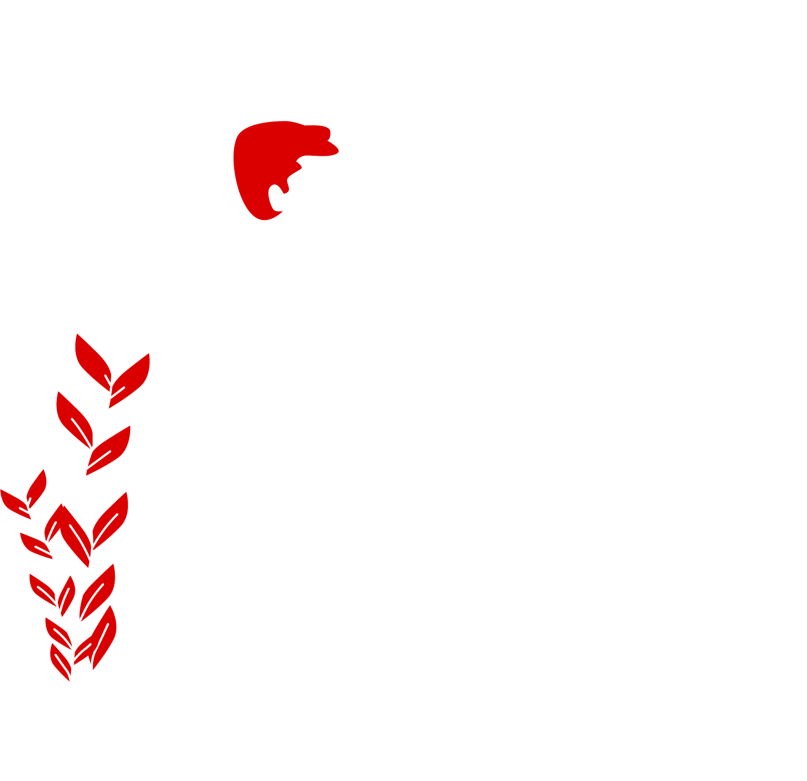 service-developpement-web