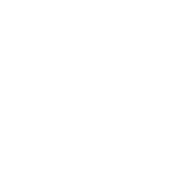 SEO Tools